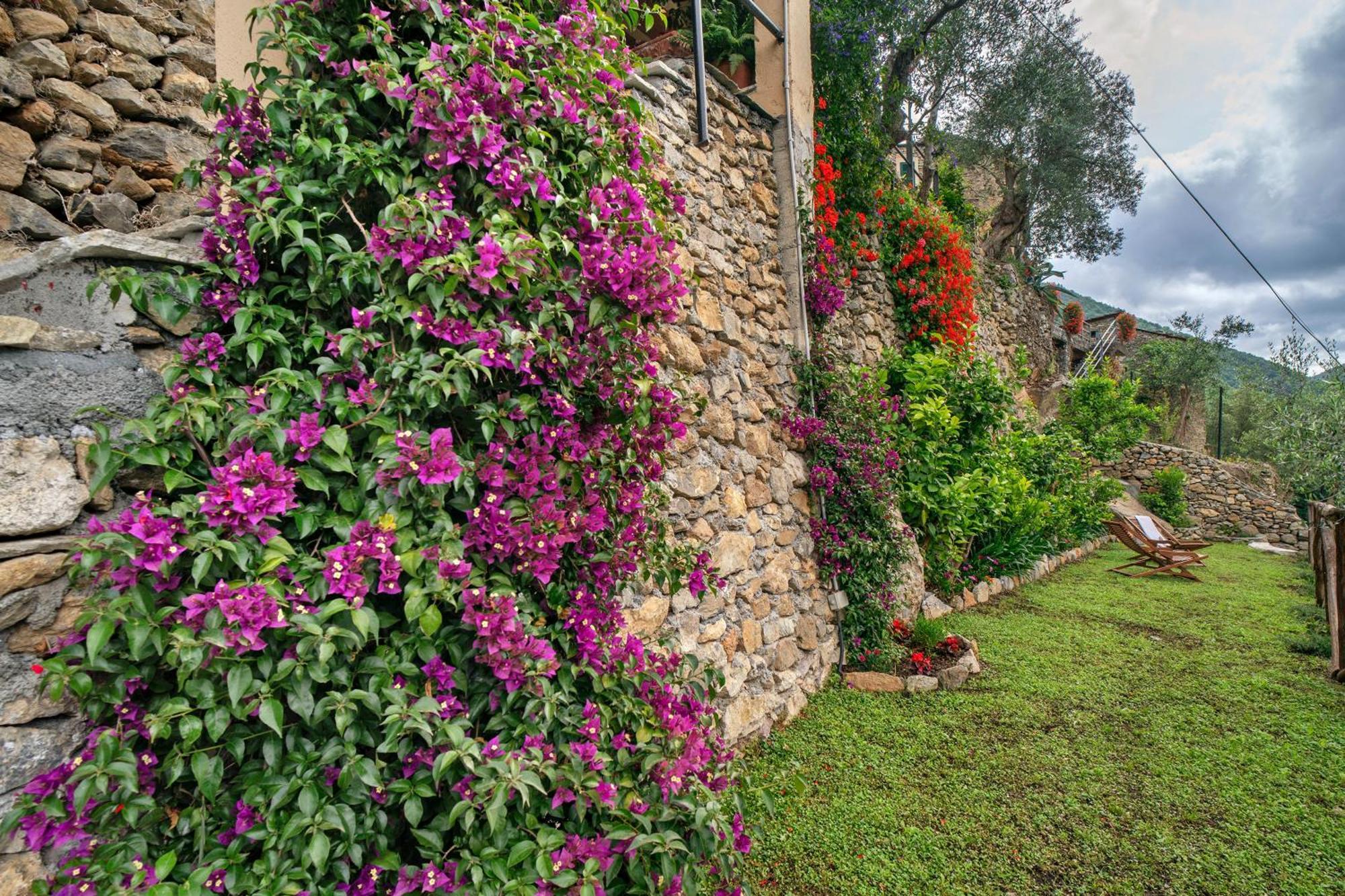 Agriturismo U' Spigu Nonna Annetta Nasino Exterior foto